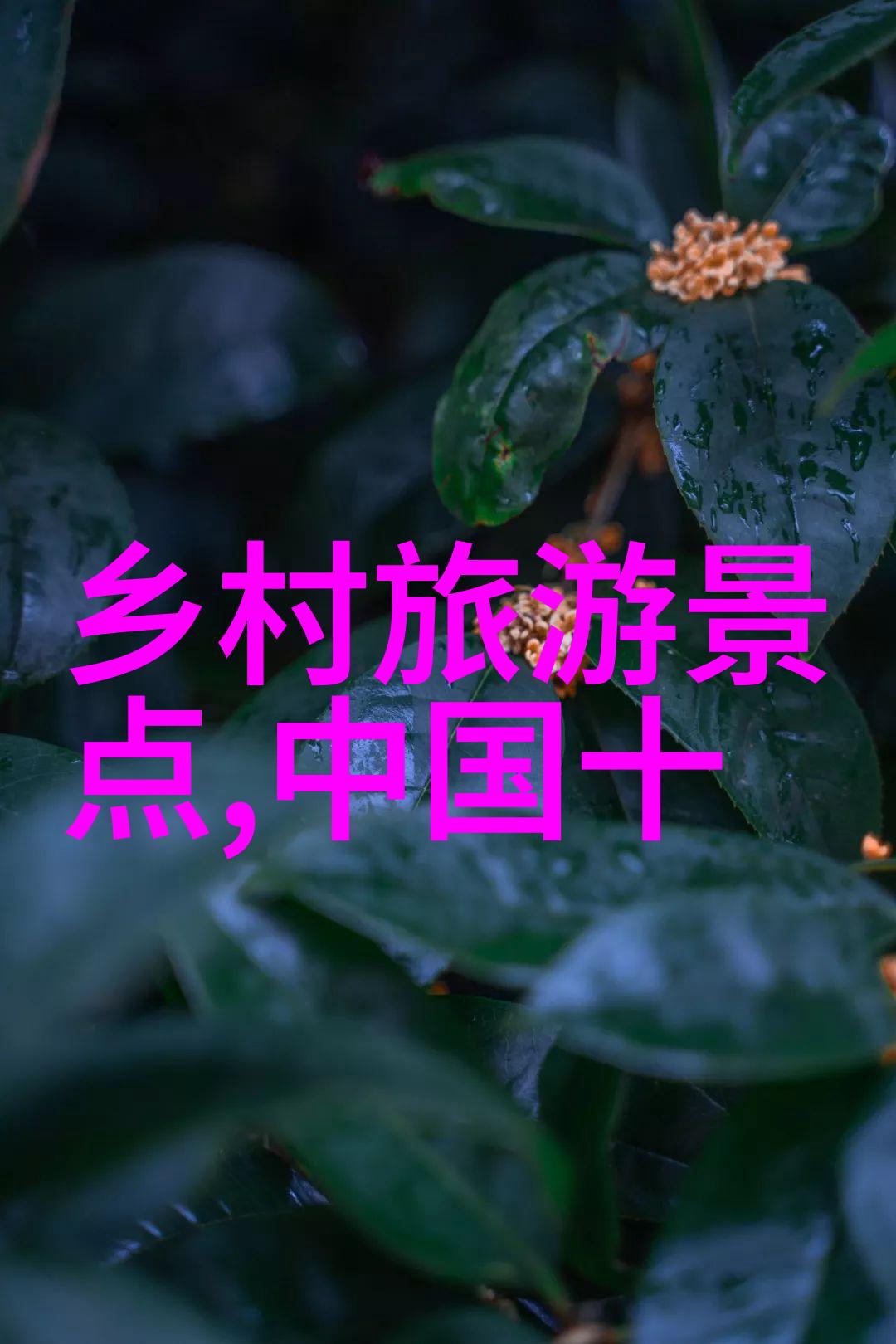 家庭自用的高效除沙井水过滤器选择指南