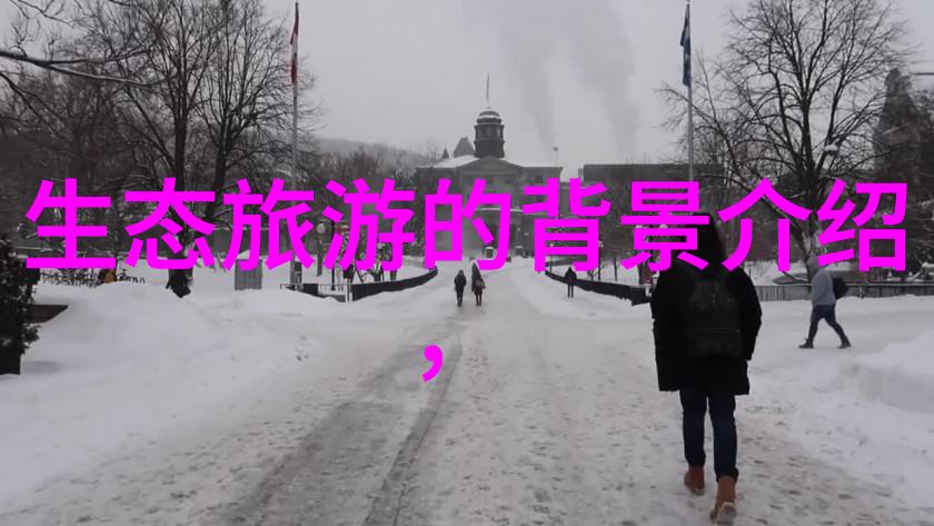 如何构建和谐共生关系人类与生态文明的未来探索