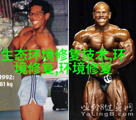 分类回收站