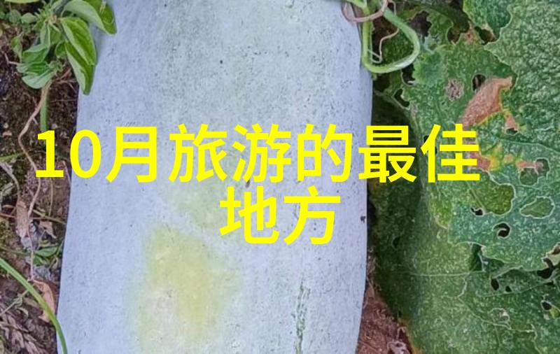 如何选前置过滤器-高效音频处理的关键选择合适的前置过滤器技巧