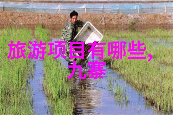 保护环境的议论文-绿色地球共筑未来深度探讨环境保护的紧迫性与策略