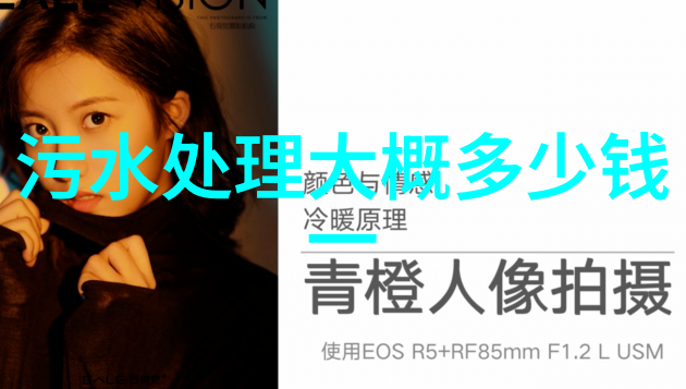高级处理技术解析逆渗透离子交换和去除微塑料