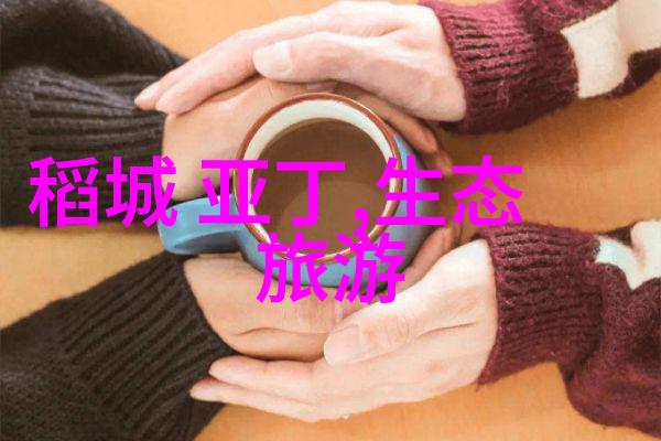 压滤机分类详解过滤技术的多样化应用