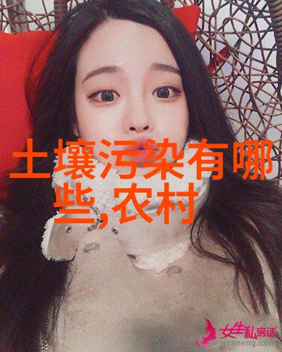 如何选择合适的空气净化器功能与价格的平衡是关键