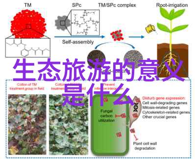 医疗机构污水处理管理规范与登记表的重要性