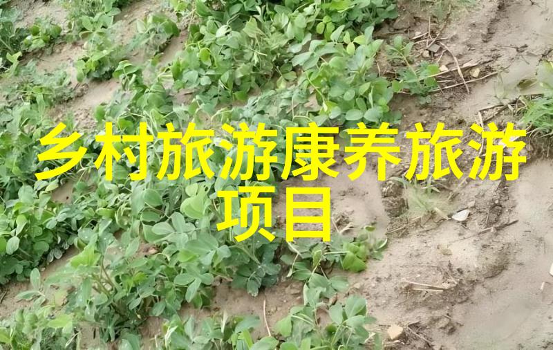抽化粪池电话的普及与现代社会中的个人隐私权保护有关联吗