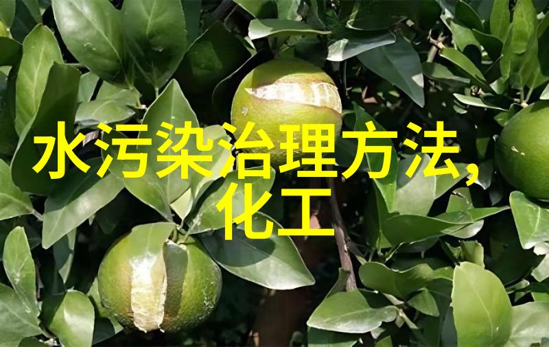 秦姝的东宫生活 - 东宫梦幕下的秘密花园
