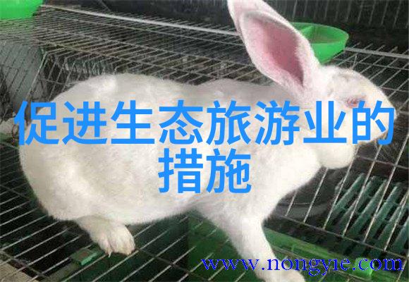 大西北探秘从古城到沙漠揭秘最火的旅行路线