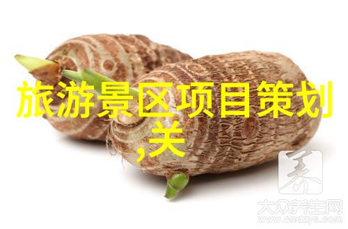 中国绿色城市实践与探索