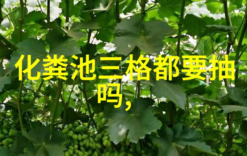 测量世界各种测量仪器及名称的探索