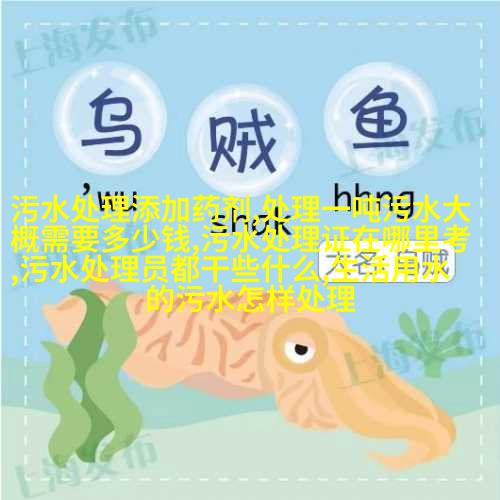 图2: 多款式与尺寸可供选择