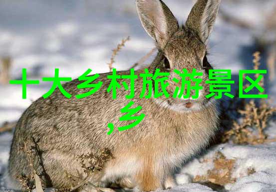 主题我眼中的中国生态旅游现状绿色旅行让地球不那么难受