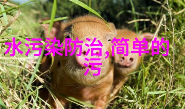 环保作文我和我的低碳日常如何让生活更绿色