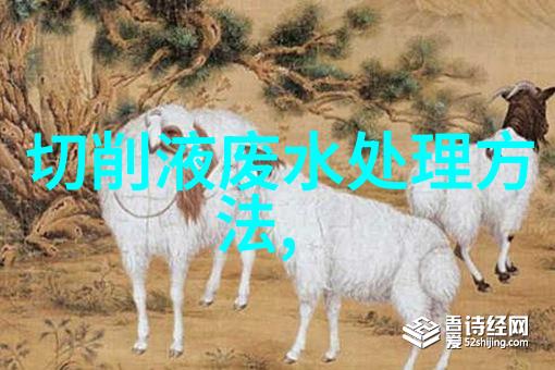 重返起点探索归零的奥秘