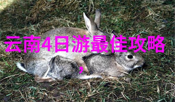 工业水处理滤波器之谜