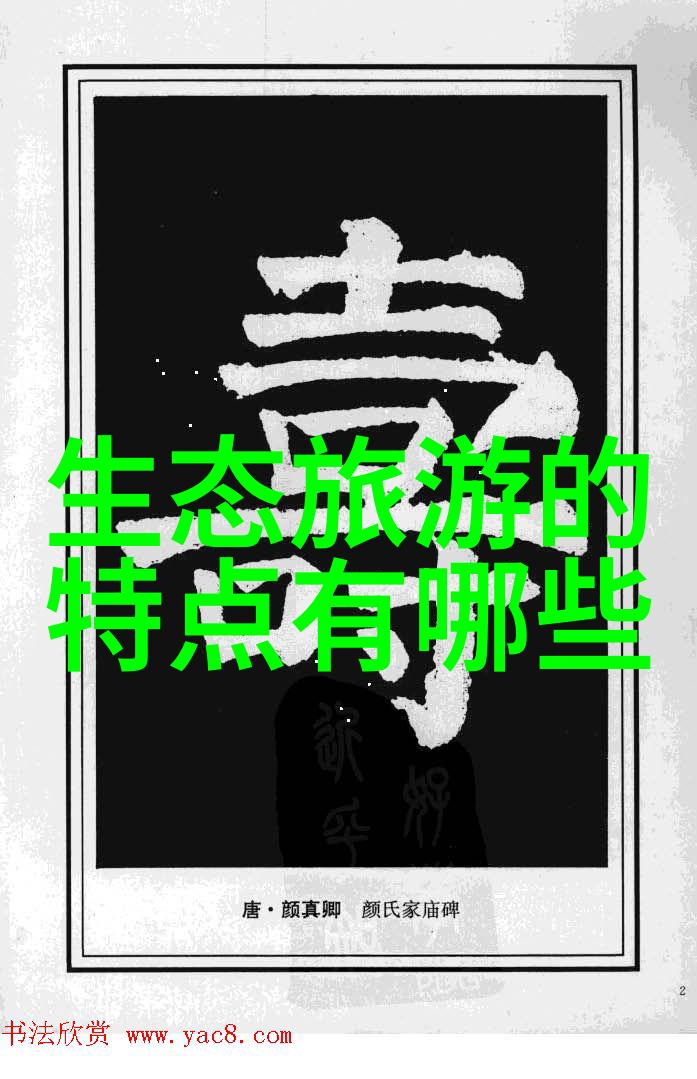 探秘奇幻岛寻宝者的心跳旅程