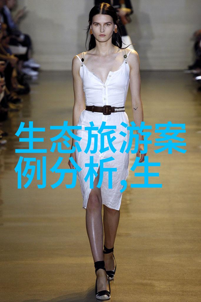 西部绿洲的守望者揭秘陕西省环境监测中心站的日常巡视与数据分析