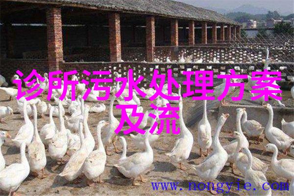 生态韵律环境的呼吸与回声