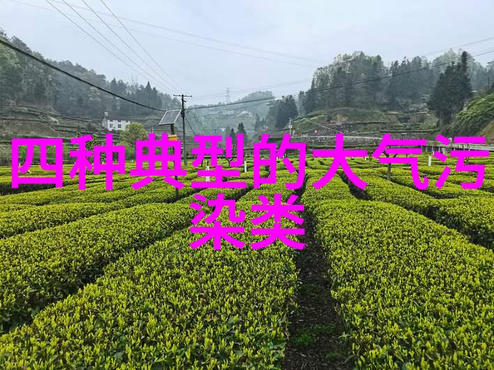 中国的7大江河高中地理学习必备书籍