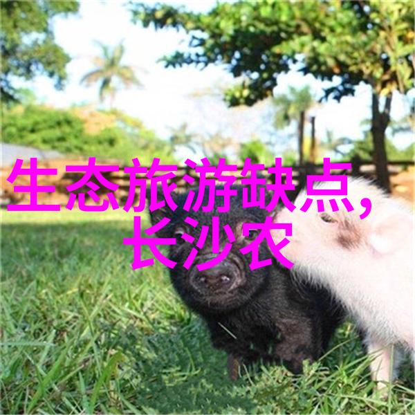 水净化守护者10个抗击水污染的行动指南