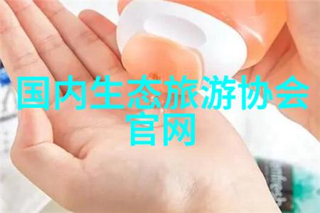 未来足迹智能化可持续的旅行新篇章