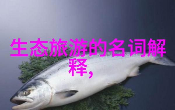 生态旅游开题报告绿色旅行探索