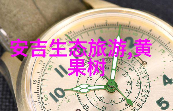 旋转净化盘式真空过滤机的精妙结构