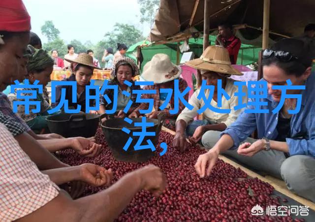膜生物反应器膜生物反应器在农村污水处理中的应用