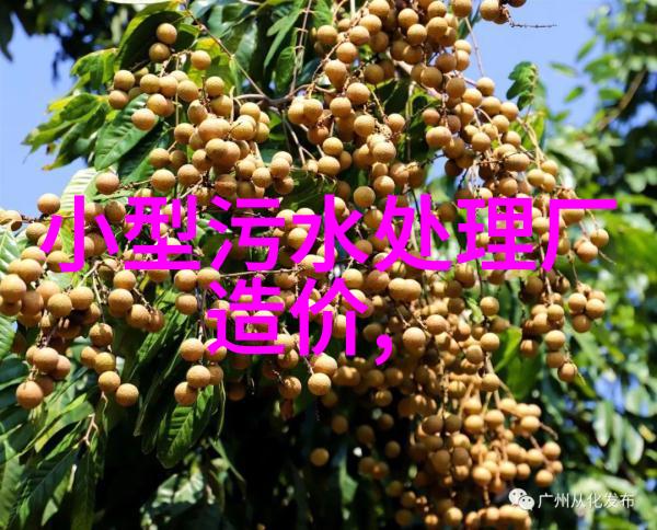 节能环保低碳生活 我的绿色日常从小习惯做起