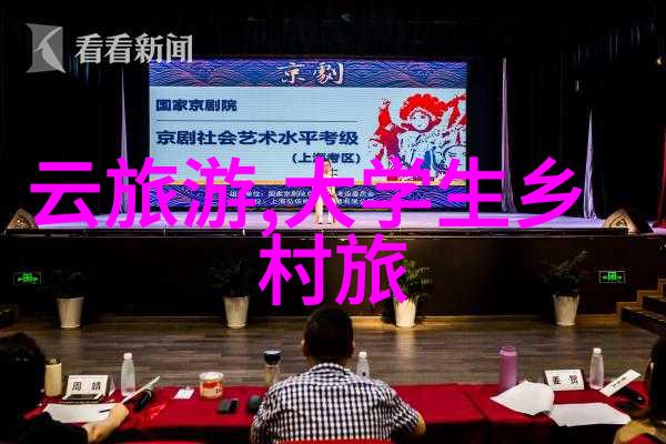 数字密码揭秘xxx228背后的编码世界