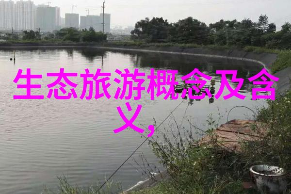 沼气处理技术的新纪元清洁能源的绿色梦想