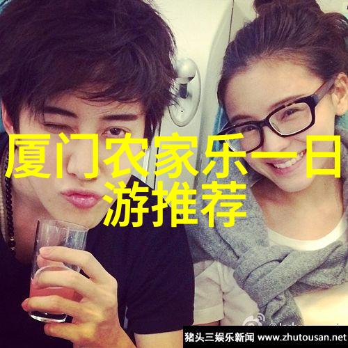 金属纤维的净化艺术不锈钢过滤网的应用与魅力