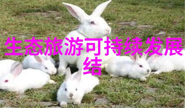 精密测量的艺术探索工程水平仪的科学与技术
