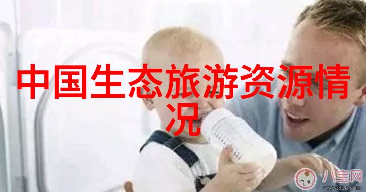 碳排放交易如何确保气候保护的公平与高效