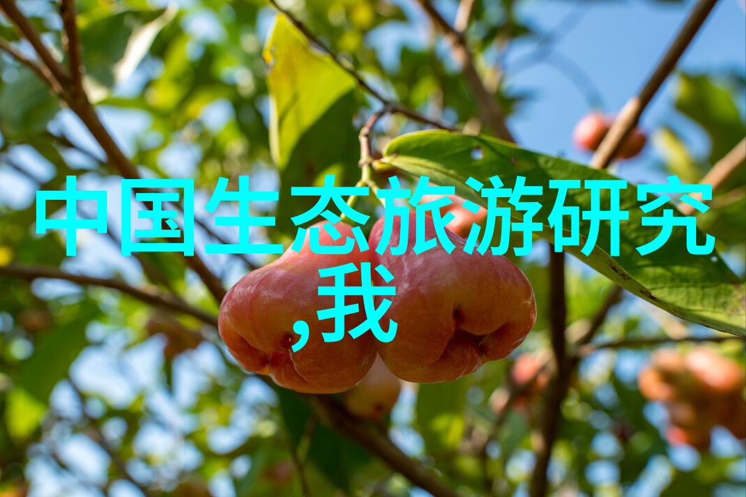 臣子之谏-陛下认命吧逆境中的智慧与勇气