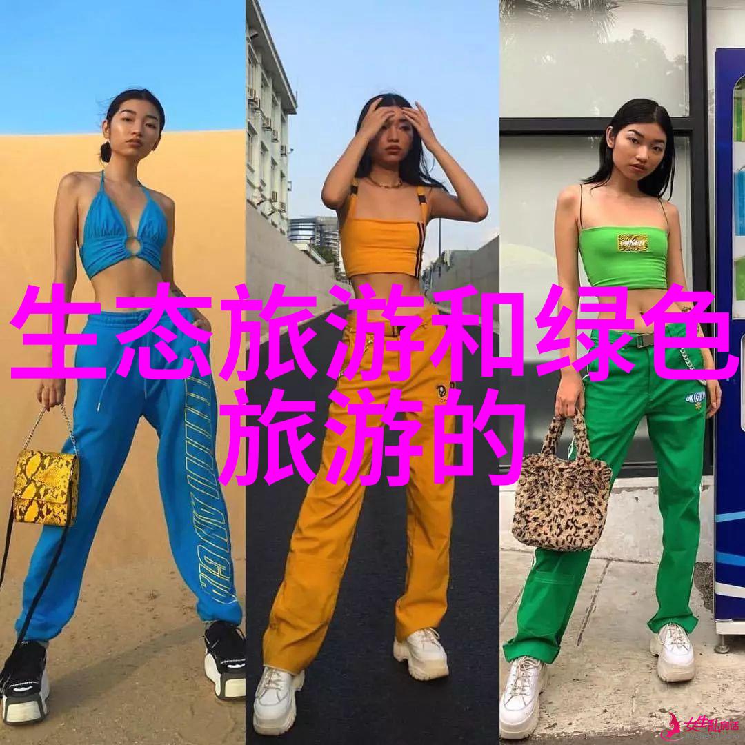 如何在旅游方案中平衡自由探索与预定的活动安排
