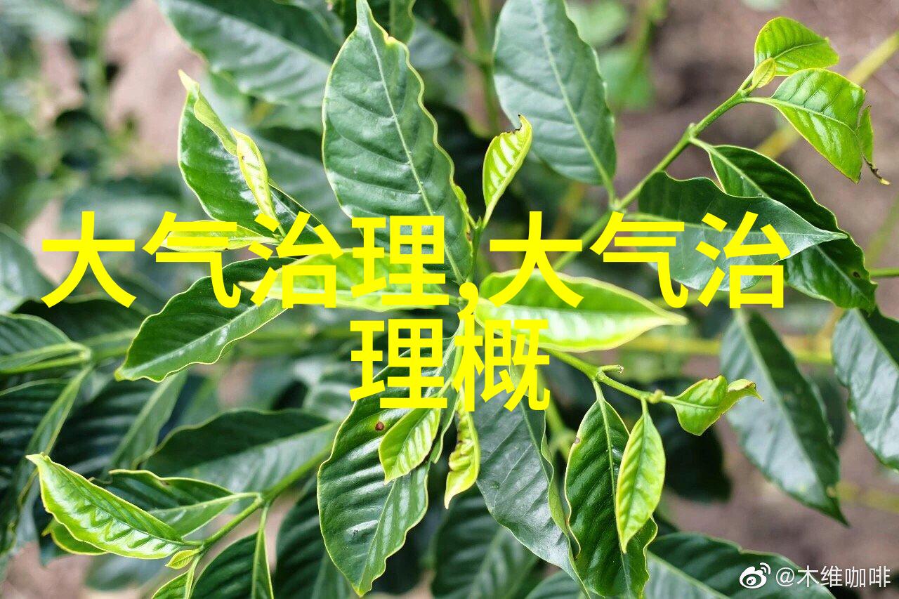 清新呼吸的魔法师空气净化设备的奇迹之旅
