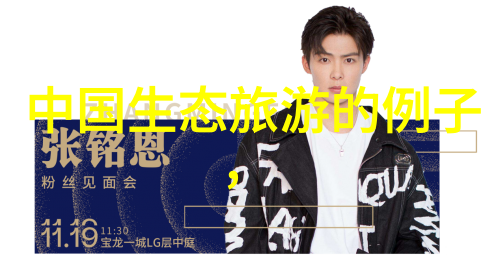 液体之王揭秘压滤机的奥秘
