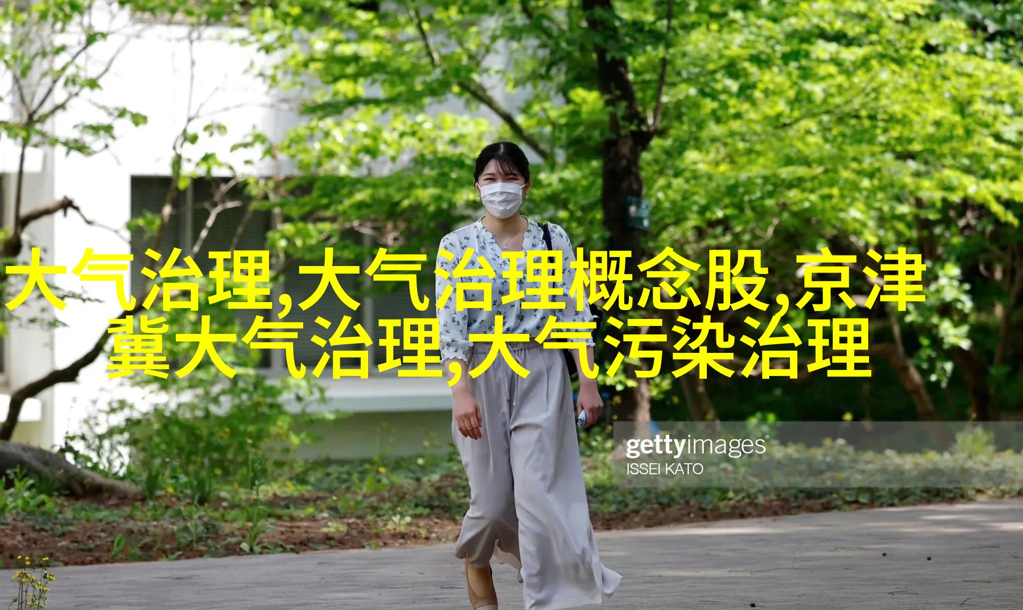 蒸发皿