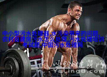 精确秤