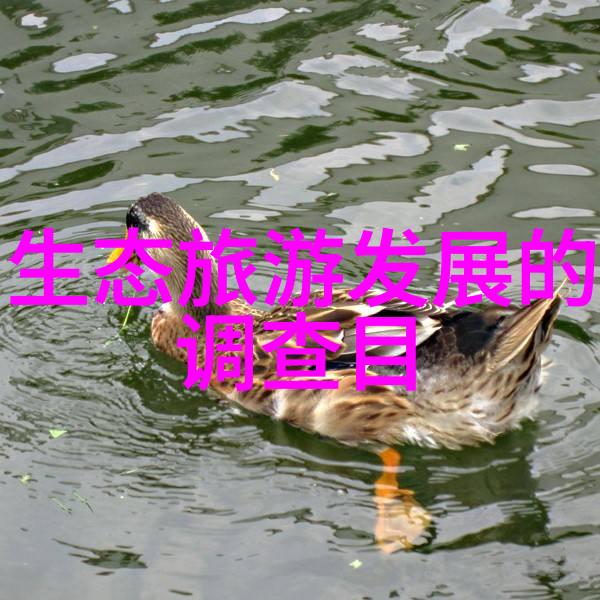 生态环境修复技术恢复自然和谐生态环境修复技术的创新与实践