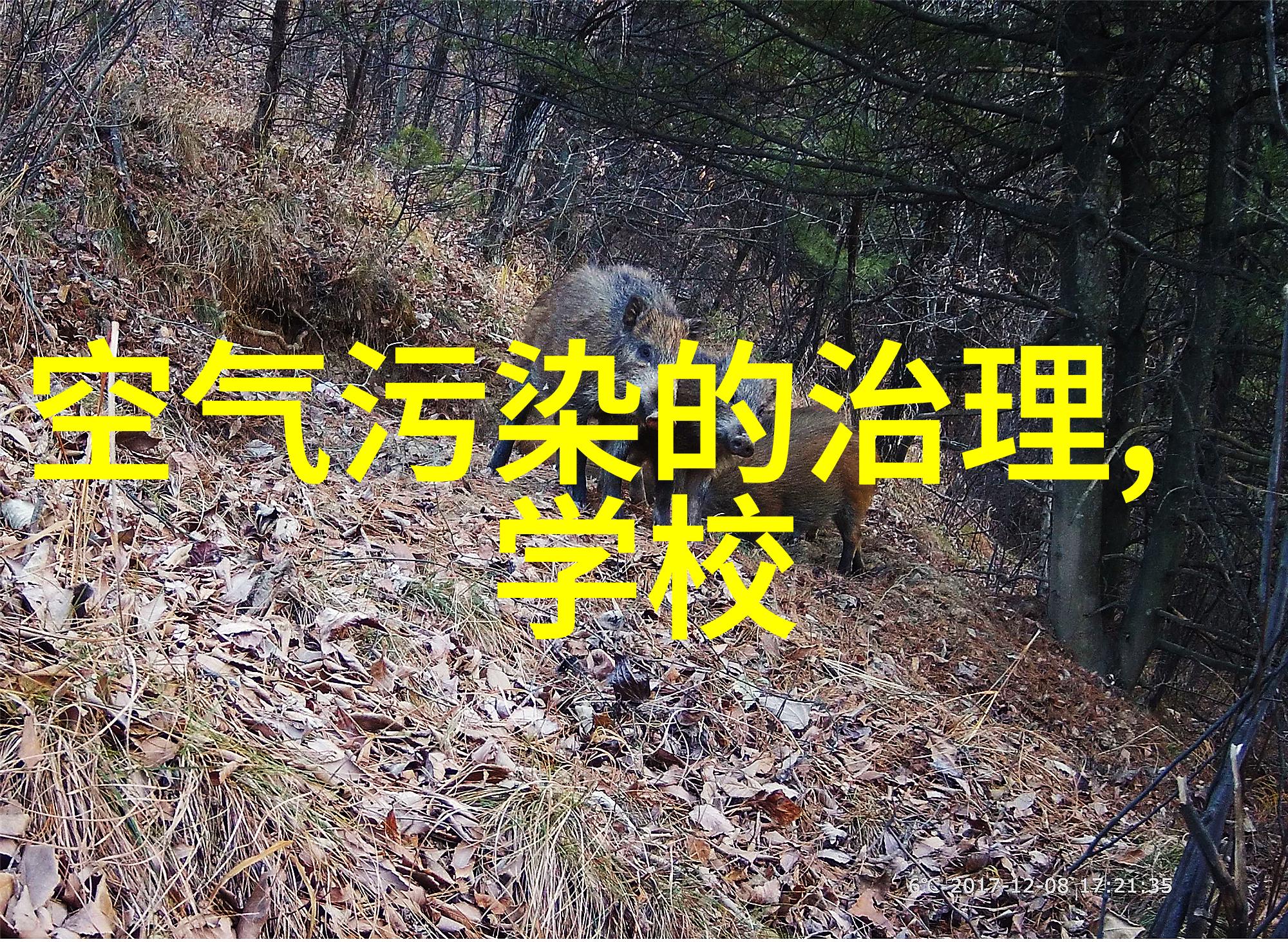 蓝天再现揭秘大气净化的奇妙方法与技术