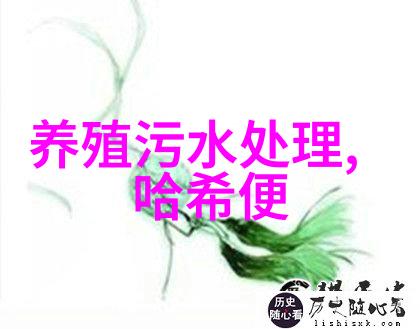 日本美容界的双重魅力一面亲上边一面的高效护肤一面膜下边的先进化妆技术