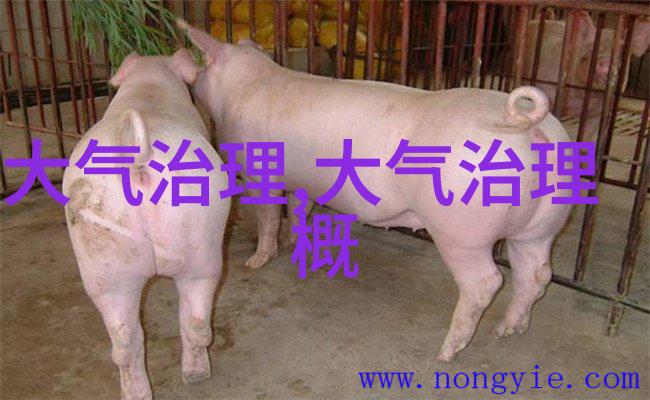 水体污染如何影响生态系统人类又该怎样干预