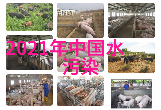 生态美绿意盎然的自然赞歌