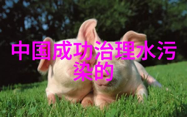 把废水变酿酒的秘诀从污染到啤酒的奇妙旅程