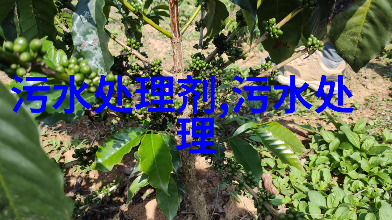 低碳生活倡议书中蕴含了哪些关键信息