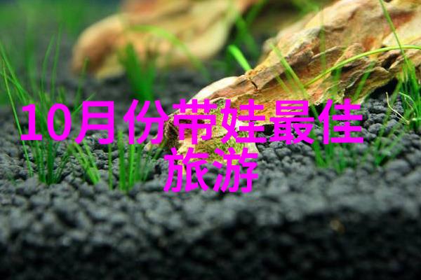 管道之心流线的守护者