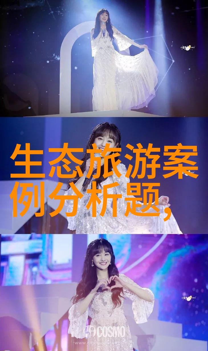 追光人推动光伏产业智能化革新江燕兴