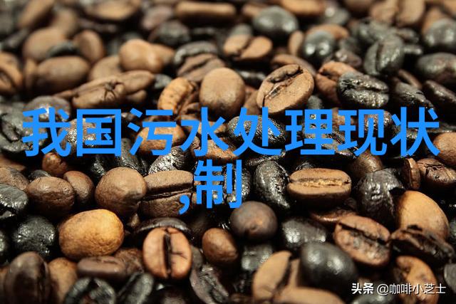 小学生飞机知识科普探秘肯尼亚非洲动物之旅
